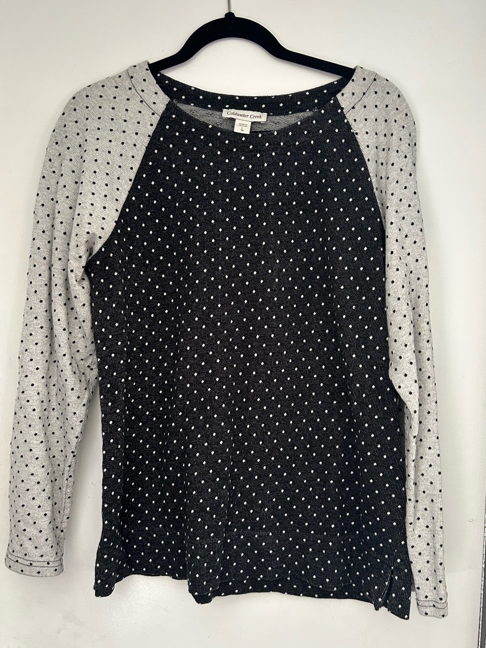 Coldwater Creek - Raglan Polka Dot Sweatshirt